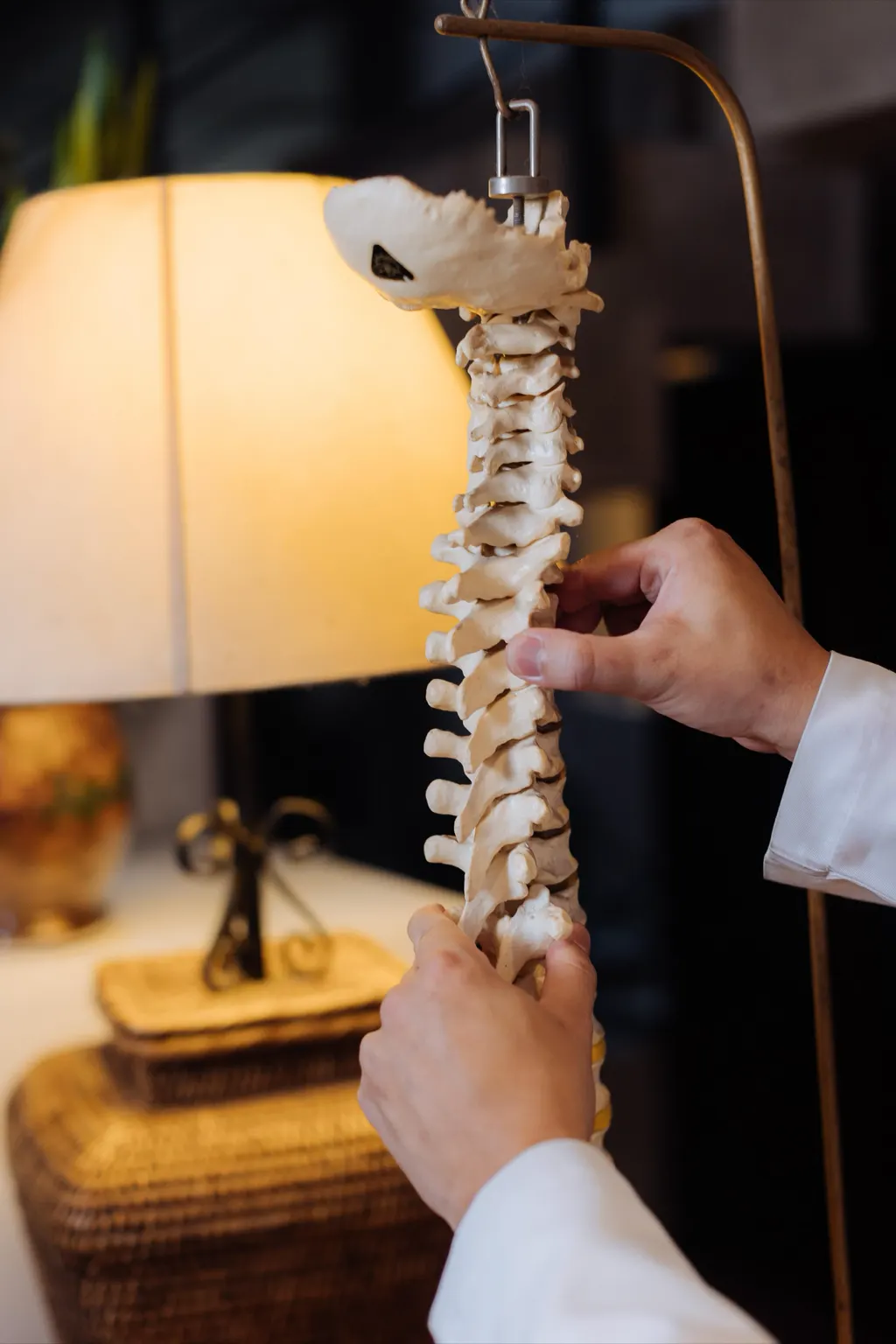 Mãos seguram um modelo de coluna vertebral ao lado de um abajur.
